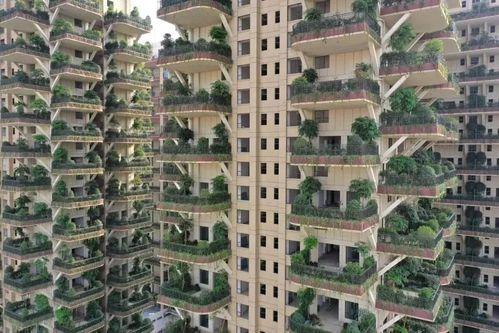 成都一小区建筑外形奇特像是空中花园绿意安然引人瞩目